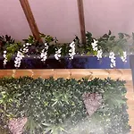 Un Petit Coin De Paradis